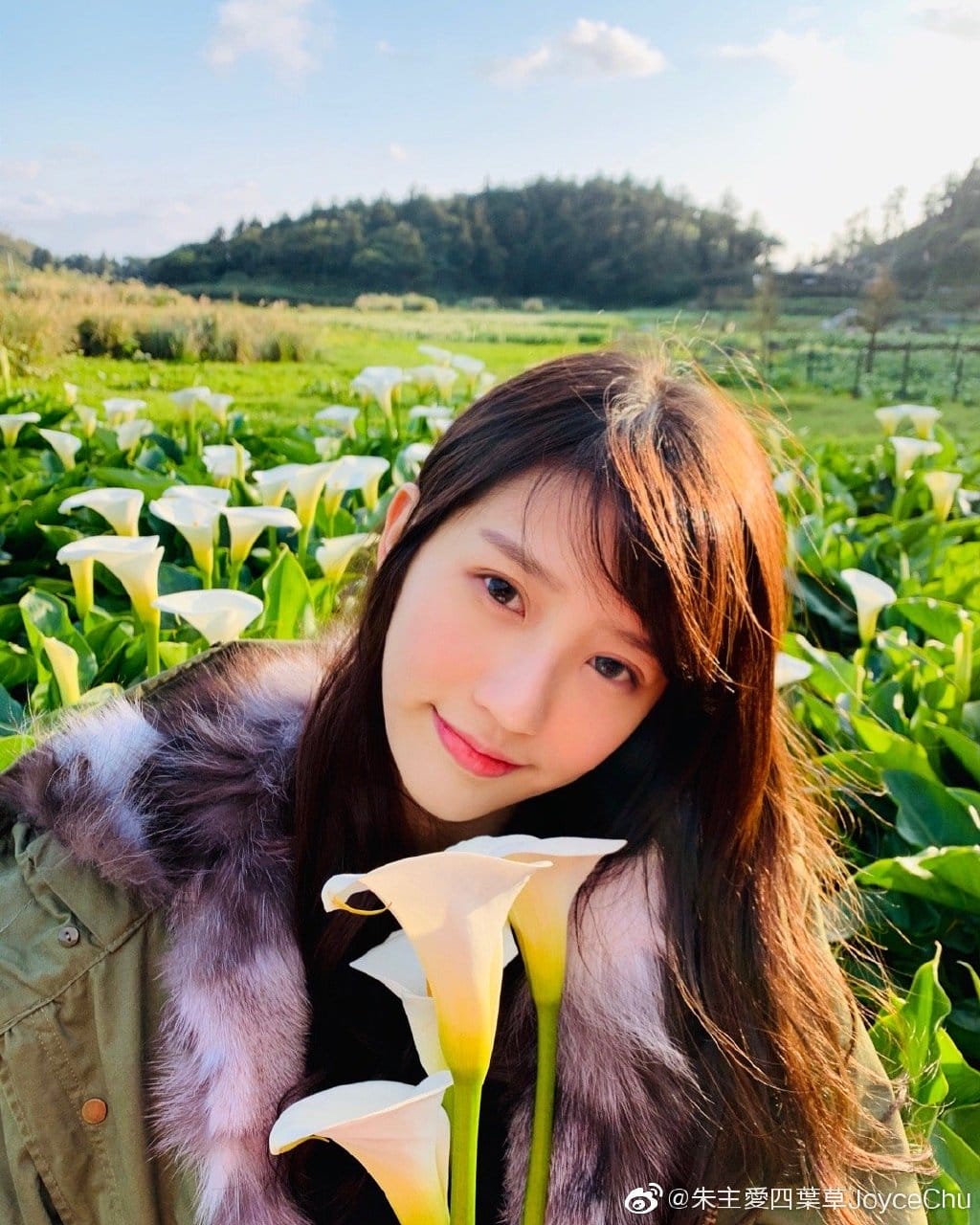 四叶草朱主爱是怎么活起来的(四叶草朱主爱图片) 四叶草朱主爱是怎么活起来的(四叶草朱主爱图片)