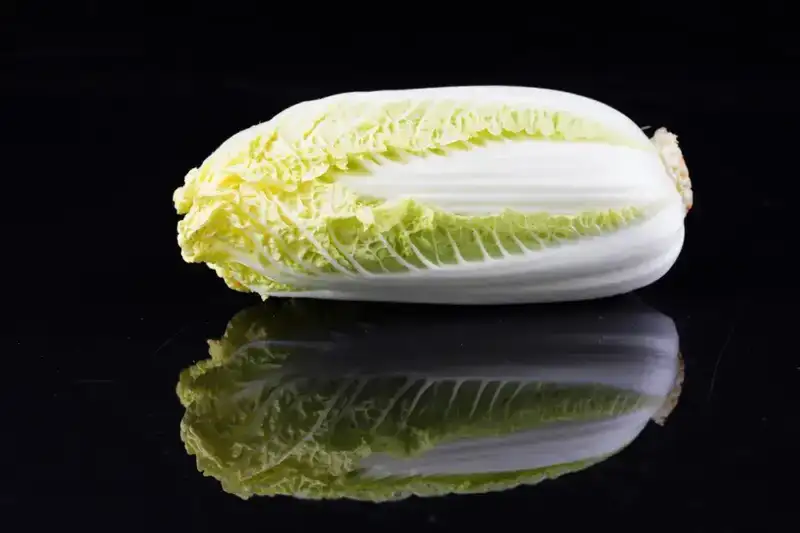 娃娃菜和大白菜哪个营养更高(娃娃菜和大白菜是一个品种吗)(图2) 娃娃菜和大白菜哪个营养更高(娃娃菜和大白菜是一个品种吗)(图2)