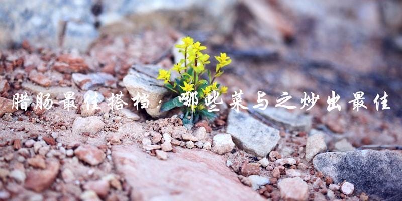 腊肠最佳搭档:哪些菜与之炒出最佳味道? 腊肠最佳搭档:哪些菜与之炒出最佳味道?