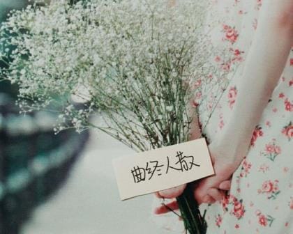 小王子写玫瑰花的句子