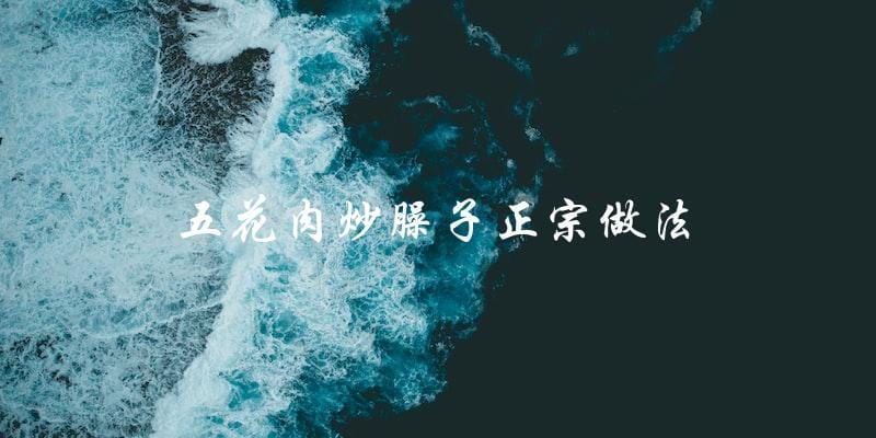 学会正宗做法,轻松炒出美味五花肉臊子! 学会正宗做法,轻松炒出美味五花肉臊子!