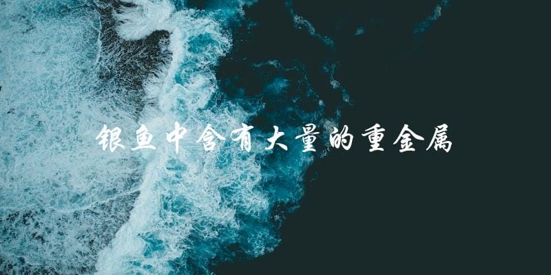 银鱼中含有大量的重金属 银鱼中含有大量的重金属