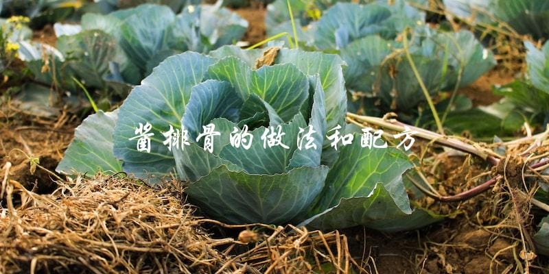 如何制作美味的酱排骨?有什么好的配方可以分享? 如何制作美味的酱排骨?有什么好的配方可以分享?