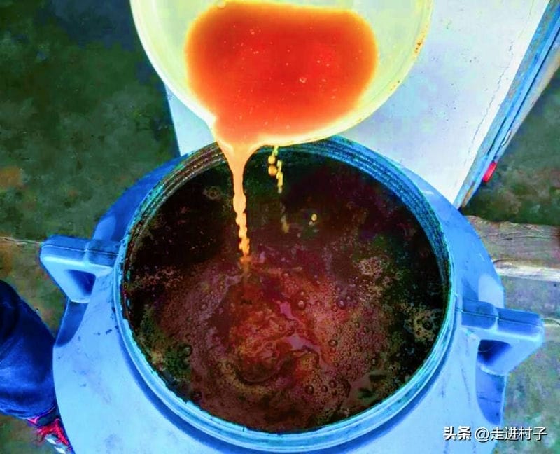 人尿发酵简单方法（人尿怎么发酵做肥料）(图2)
