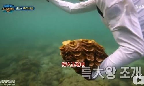 李烈音泰国事件进展或被判5年 李烈音泰国事件进展或被判5年
