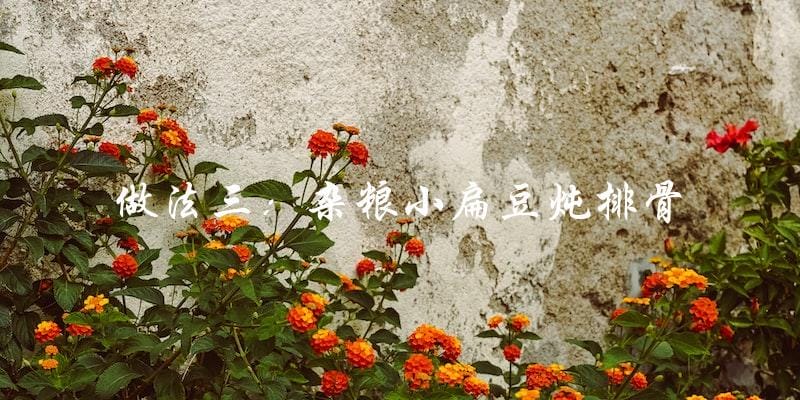 做法三:杂粮小扁豆炖排骨 做法三:杂粮小扁豆炖排骨