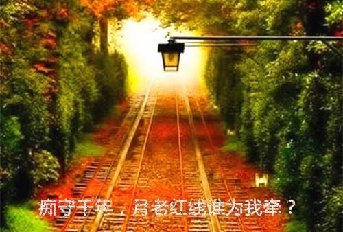 祝福美女的新年经典语录