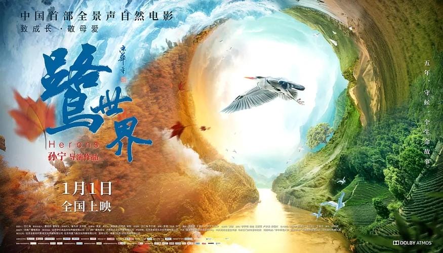 鹭世界(鹭世界观后感400字) 鹭世界(鹭世界观后感400字)
