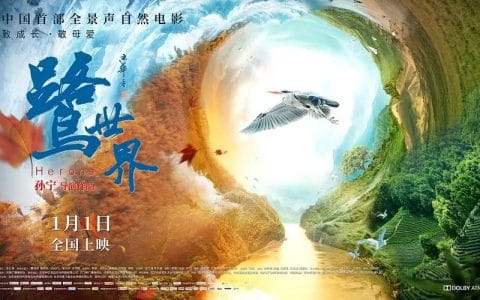 鹭世界(鹭世界观后感400字) 鹭世界(鹭世界观后感400字)