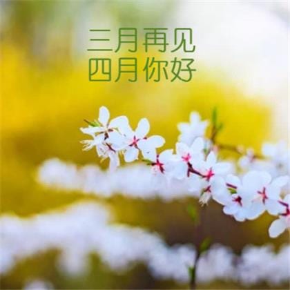 以云字开头的成语接龙两个字