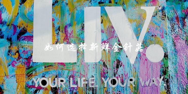 如何选择新鲜金针菇 如何选择新鲜金针菇