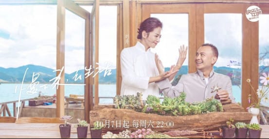 刘涛和老公王珂离婚了吗(刘涛的老公王珂)