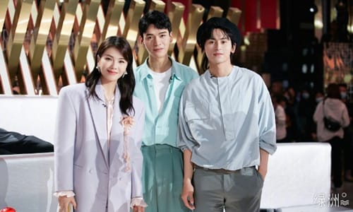 刘涛和老公王珂离婚了吗(刘涛的老公王珂)
