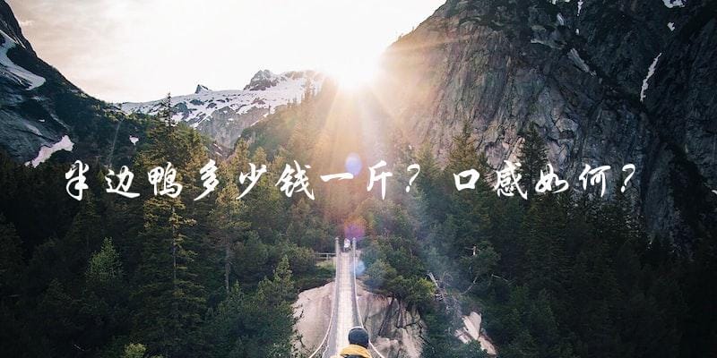半边鸭多少钱一斤?口感如何? 半边鸭多少钱一斤?口感如何?