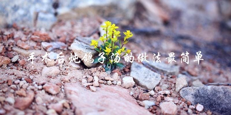 手术后炖鸽子汤的做法最简单 手术后炖鸽子汤的做法最简单
