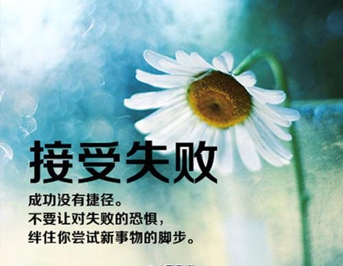乐观积极励志的句子