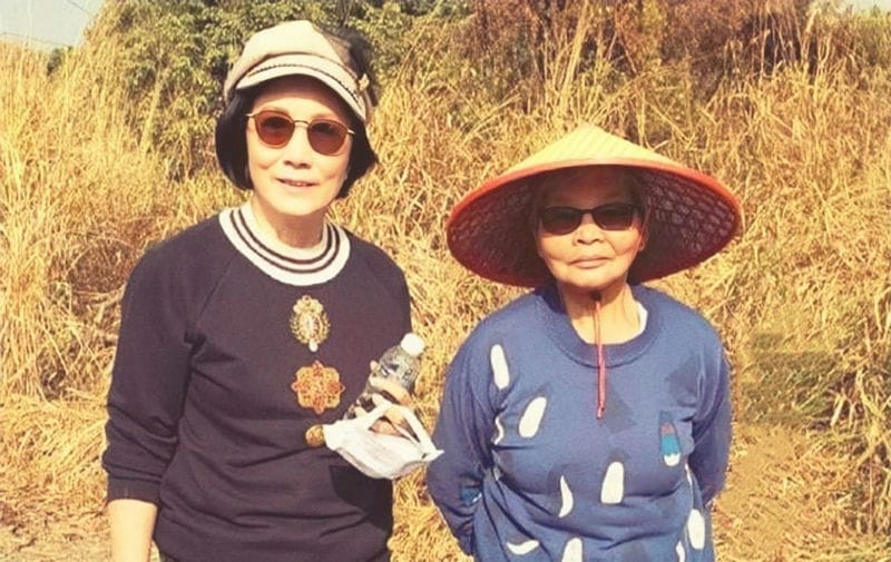 徐子珊 百科（徐子珊哪年出生是哪里人）(图10)