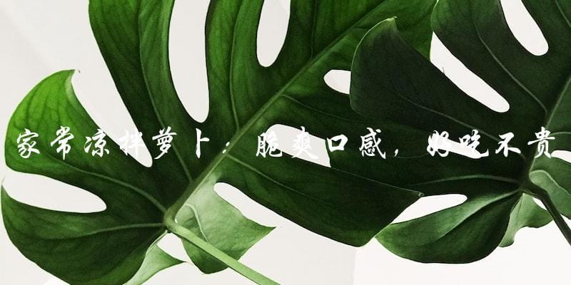 家常凉拌萝卜:脆爽口感,好吃不贵! 家常凉拌萝卜:脆爽口感,好吃不贵!