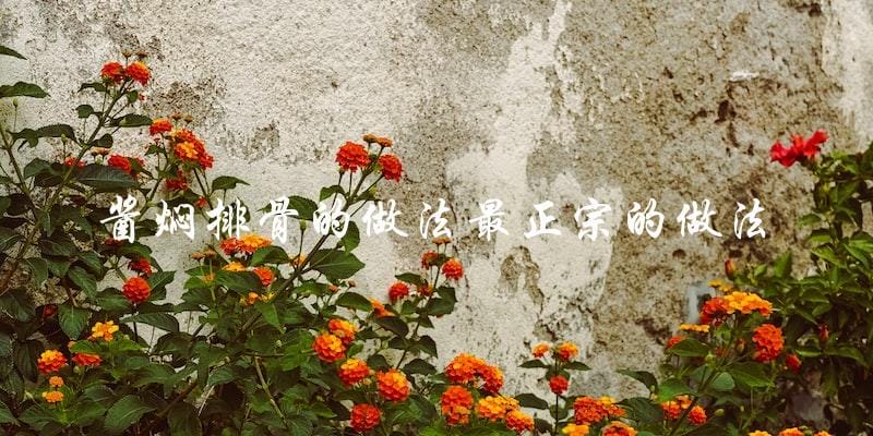 揭秘最正宗的酱焖排骨做法,让你轻松做出美味佳肴! 揭秘最正宗的酱焖排骨做法,让你轻松做出美味佳肴!