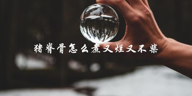 猪脊骨煮法大揭秘:又烂又不柴,让你吃得过瘾! 猪脊骨煮法大揭秘:又烂又不柴,让你吃得过瘾!