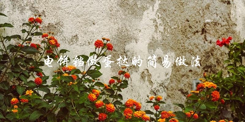简易电饼铛蛋挞制作方法,快速上手! 简易电饼铛蛋挞制作方法,快速上手!