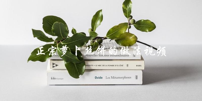 学习正宗萝卜丝饼的做法视频,轻松做出美味口感! 学习正宗萝卜丝饼的做法视频,轻松做出美味口感!