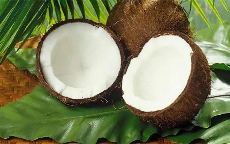 椰子肉和椰子汁的功效与作用（椰子里的白肉能直接吃吗）(图9)