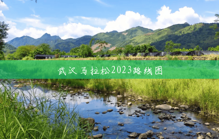 武汉马拉松2023路线图