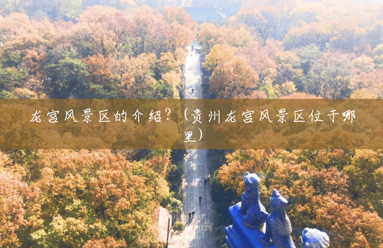 龙宫风景区的介绍？(贵州龙宫风景区位于哪里)