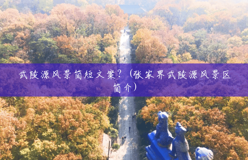 武陵源风景简短文案?(张家界武陵源风景区简介) 武陵源风景简短文案?(张家界武陵源风景区简介)