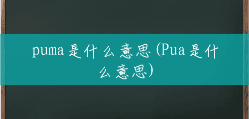puma是什么意思(Pua是什么意思)