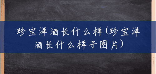 珍宝洋酒长什么样(珍宝洋酒长什么样子图片) 珍宝洋酒长什么样(珍宝洋酒长什么样子图片)