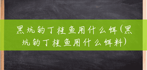 黑坑钓丁桂鱼用什么饵(黑坑钓丁桂鱼用什么饵料) 黑坑钓丁桂鱼用什么饵(黑坑钓丁桂鱼用什么饵料)