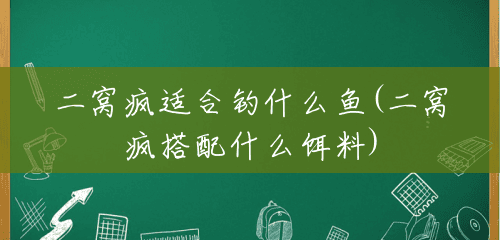 二窝疯适合钓什么鱼(二窝疯搭配什么饵料) 二窝疯适合钓什么鱼(二窝疯搭配什么饵料)