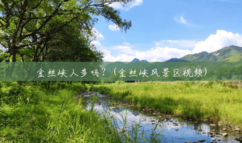 金丝峡人多吗?(金丝峡风景区视频) 金丝峡人多吗?(金丝峡风景区视频)