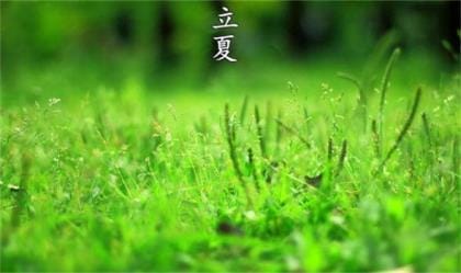 感悟人生价值的名言