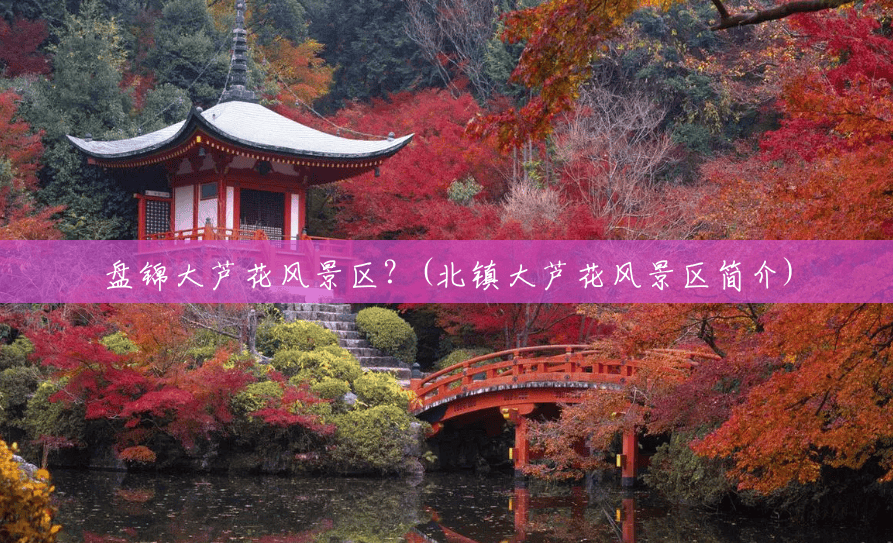 盘锦大芦花风景区?(北镇大芦花风景区简介) 盘锦大芦花风景区?(北镇大芦花风景区简介)