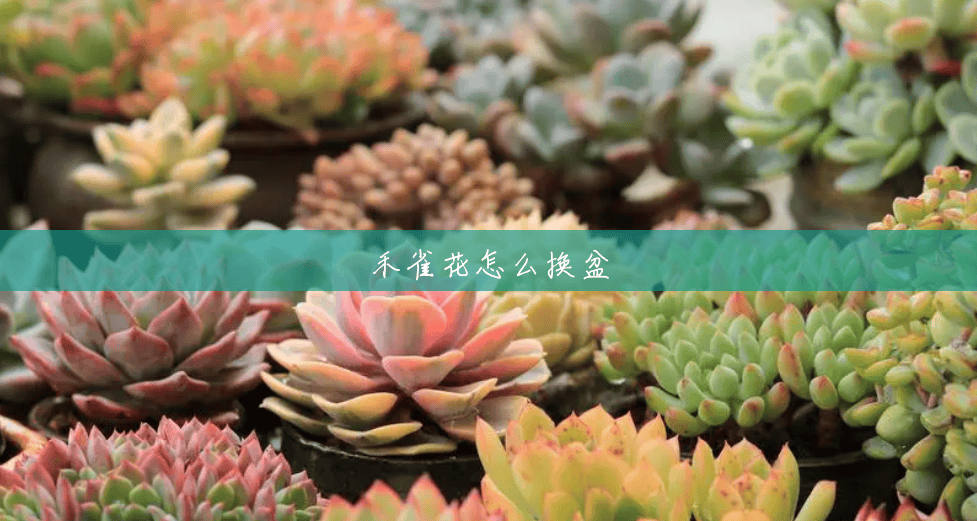 禾雀花怎么换盆 禾雀花怎么换盆