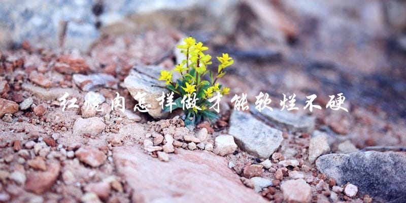 红烧肉怎样做才能软烂不硬 红烧肉怎样做才能软烂不硬