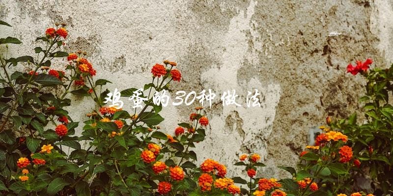 30种创意做法,让你爱上鸡蛋! 30种创意做法,让你爱上鸡蛋!