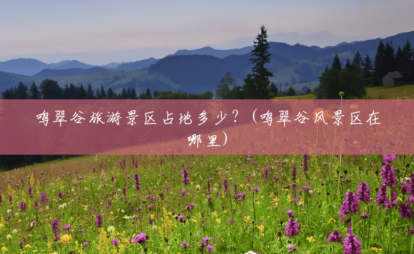 鸣翠谷旅游景区占地多少?(鸣翠谷风景区在哪里) 鸣翠谷旅游景区占地多少?(鸣翠谷风景区在哪里)