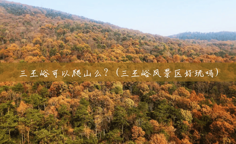 三王峪可以爬山么？(三王峪风景区好玩吗)