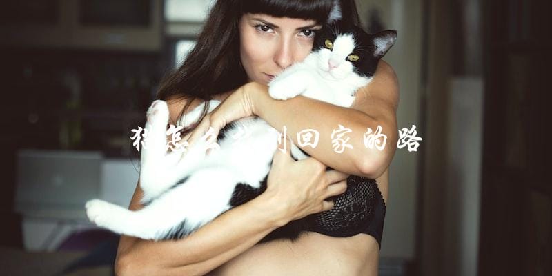 猫咪迷路了,怎样才能找到回家的路? 猫咪迷路了,怎样才能找到回家的路?
