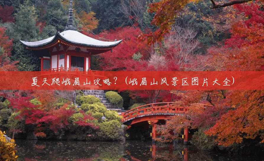 夏天爬峨眉山攻略?(峨眉山风景区图片大全) 夏天爬峨眉山攻略?(峨眉山风景区图片大全)