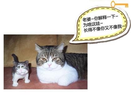 2023年本年张姓满分姓名