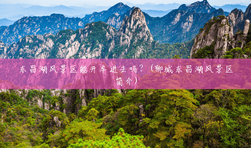 东昌湖风景区能开车进去吗?(聊城东昌湖风景区简介) 东昌湖风景区能开车进去吗?(聊城东昌湖风景区简介)