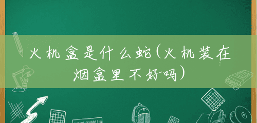 火机盒是什么蛇(火机装在烟盒里不好吗)