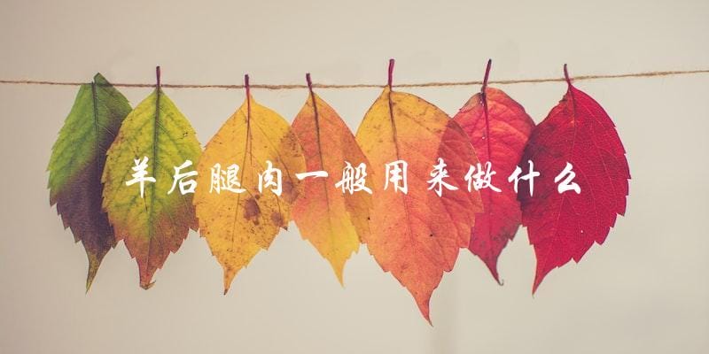 羊后腿肉一般用来做什么