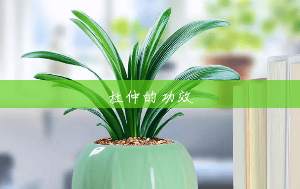 杜仲的功效