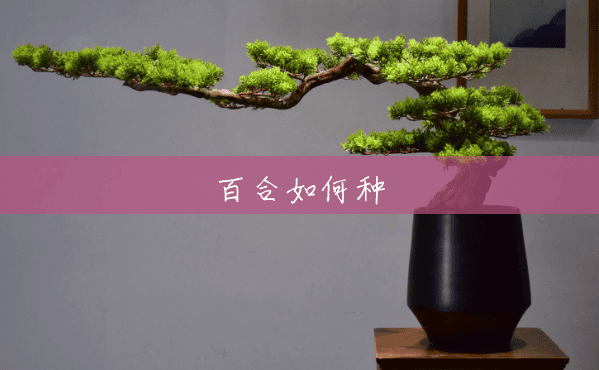 百合如何种